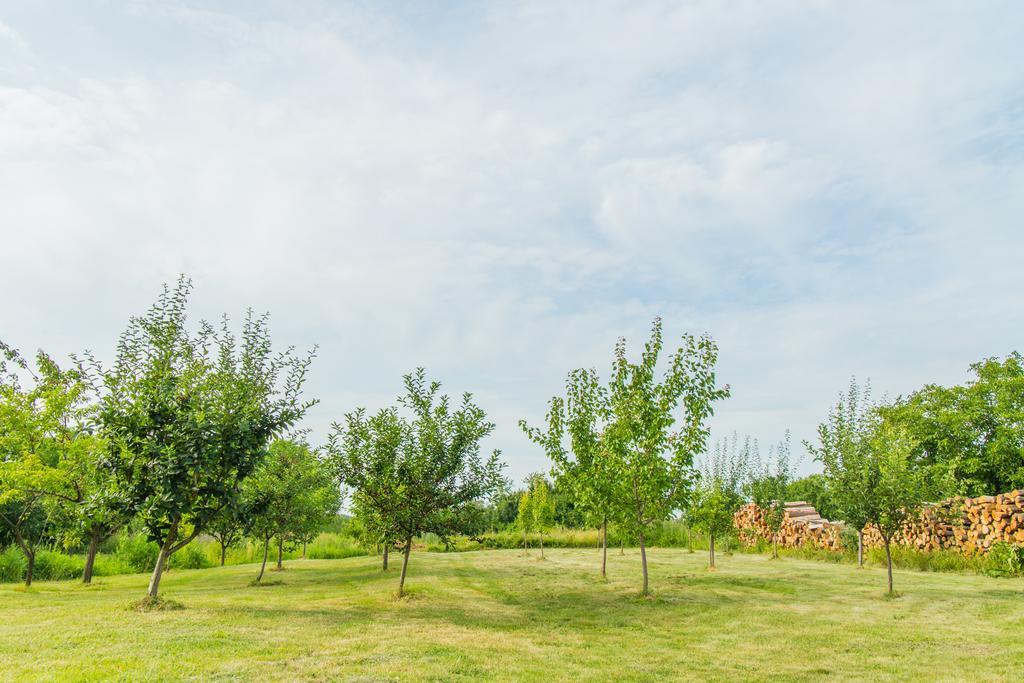 Garden Holiday Home Drenje  المظهر الخارجي الصورة